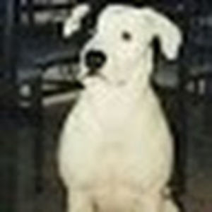 Meet your Posher, Sabrina